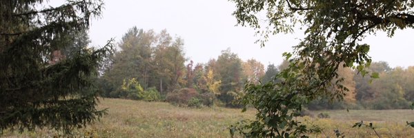 ilazer Profile Banner