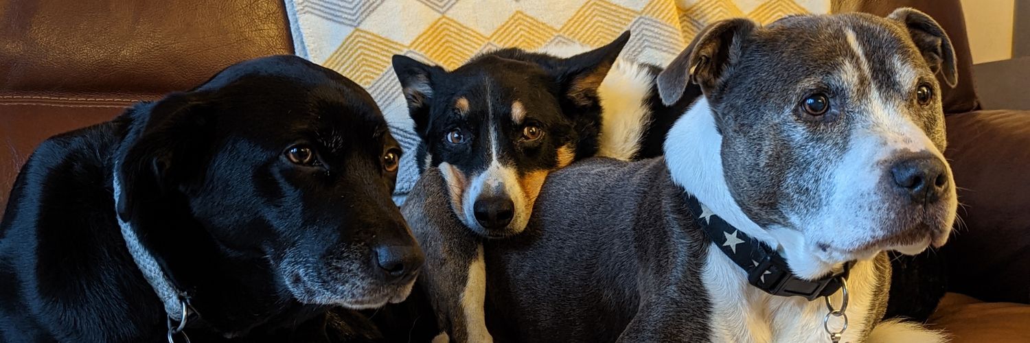 DavidRowe ⧖ - Caution, you may encounter nuance. banner