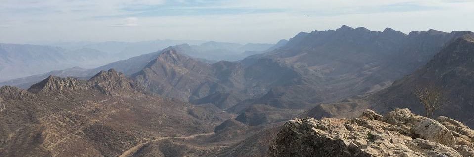 Daniel Hardaker banner