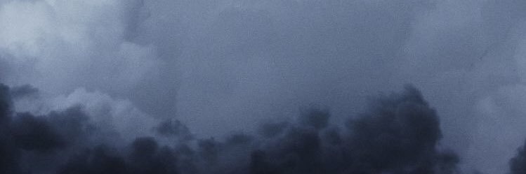 Sarah Rose Huckman banner