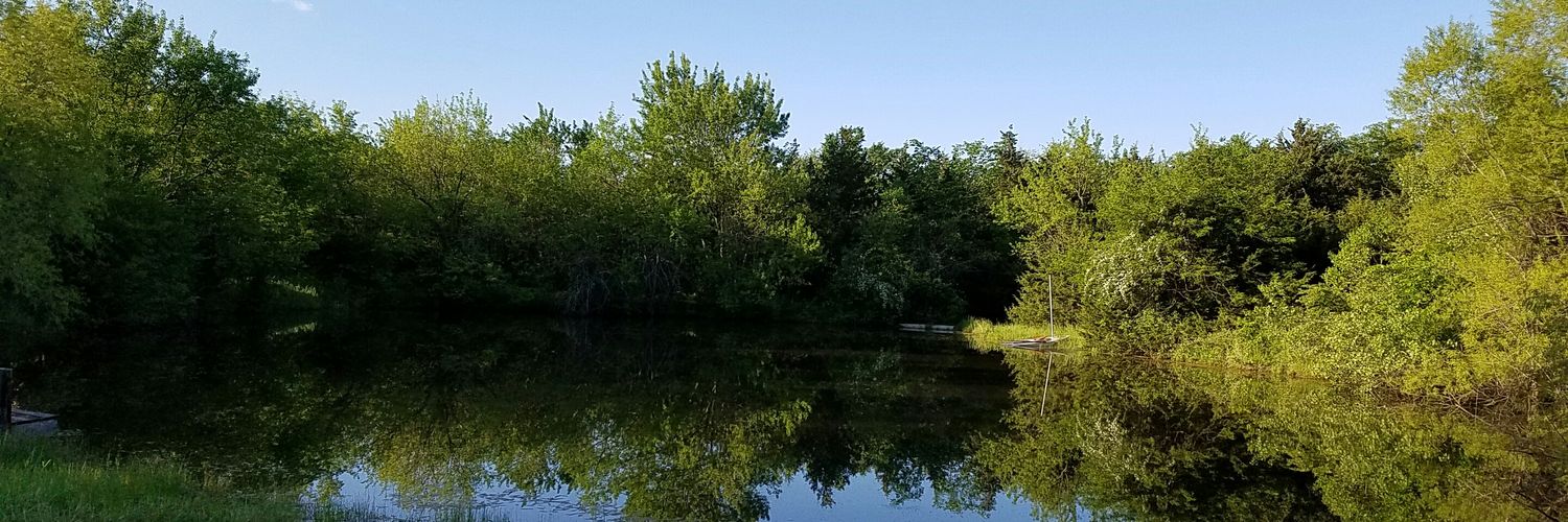 RowseyBryan's profile banner image