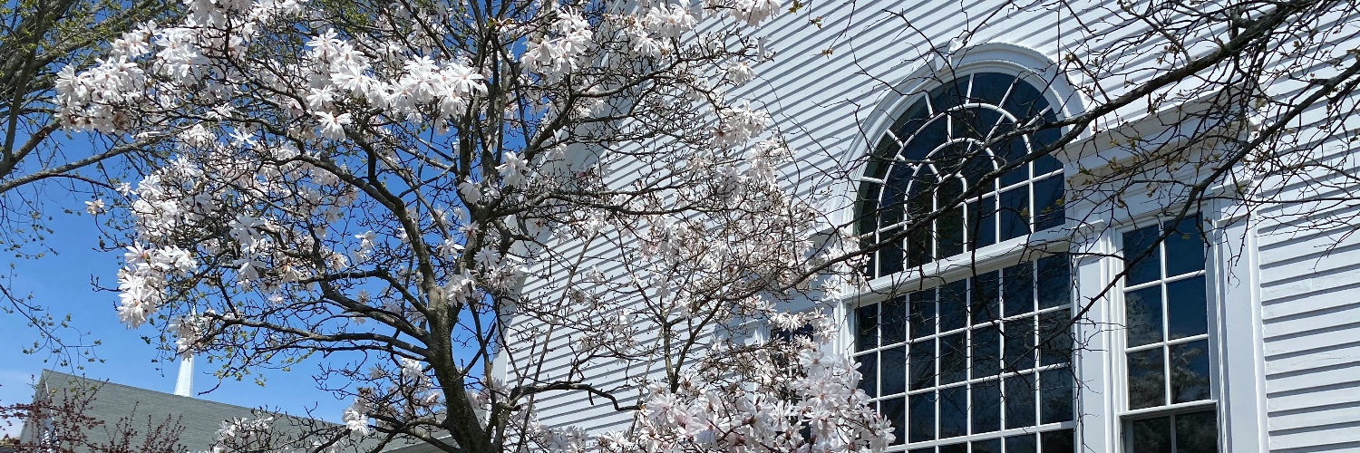 Lynnfield Library banner