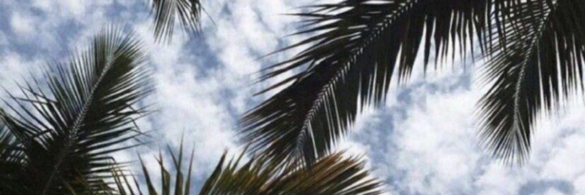 mx_mx1122's profile banner image