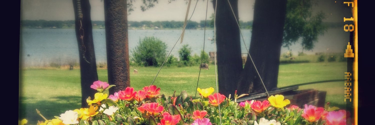 Carolcern's profile banner image