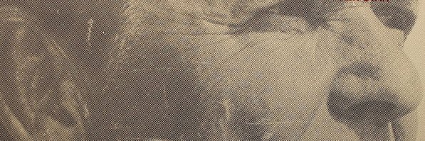 Robert Fitzgerald banner