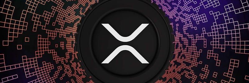 nvahedi's profile banner image
