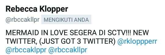 Rebecca Klopper♡ banner