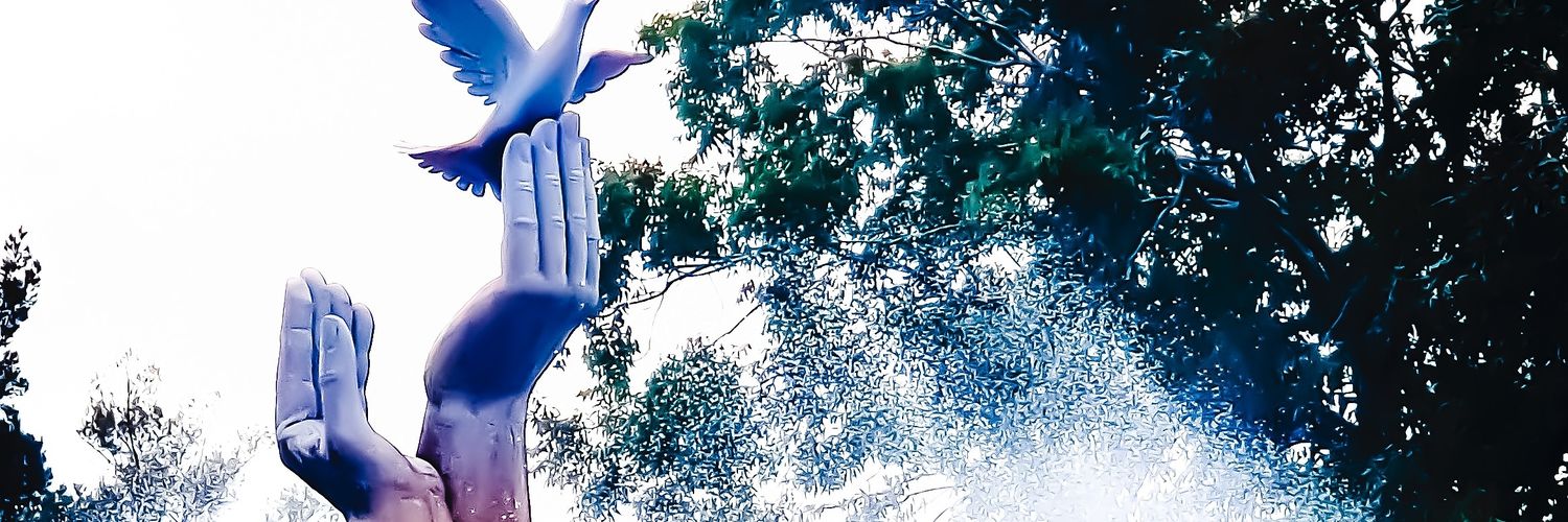 arnoldochua's profile banner image