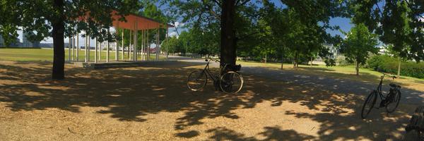 vierja Profile Banner