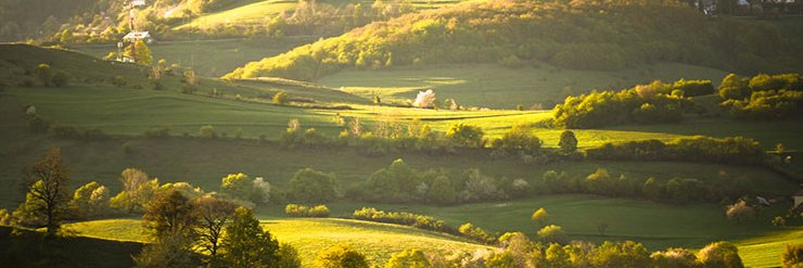 b_benedimar's profile banner image