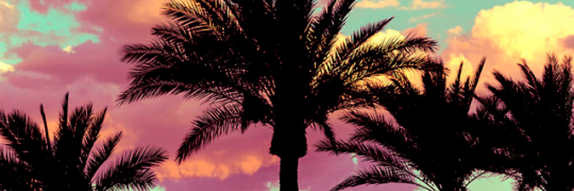 ainaranegrete's profile banner image