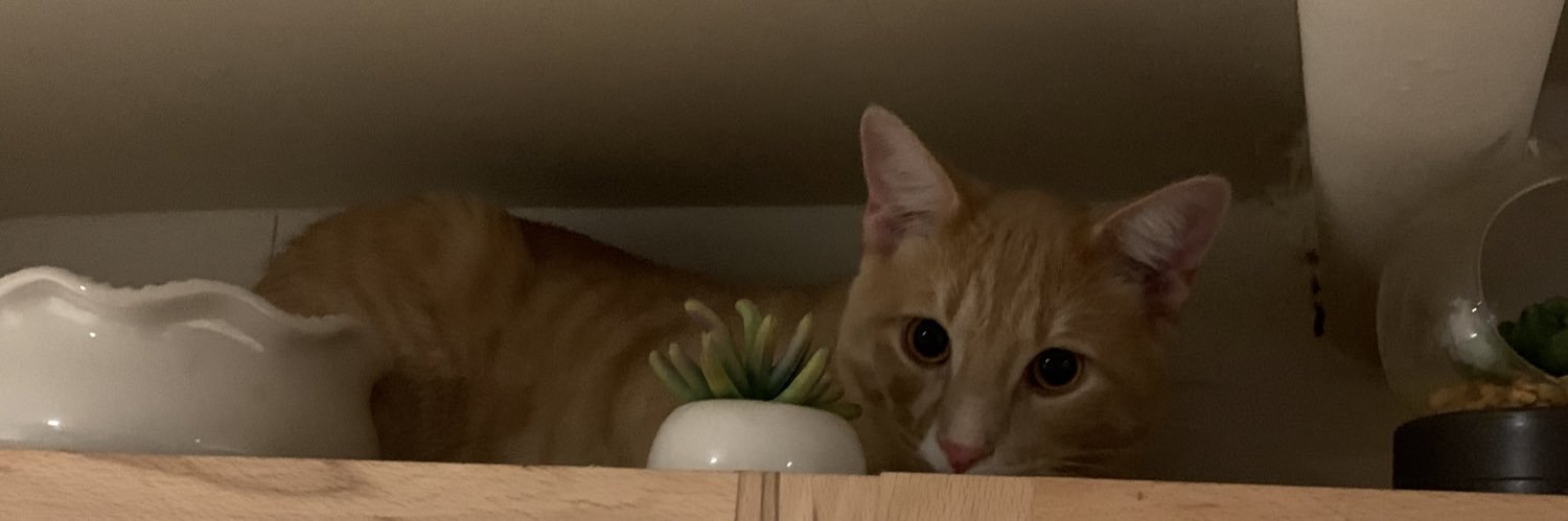 vivfoo's profile banner image