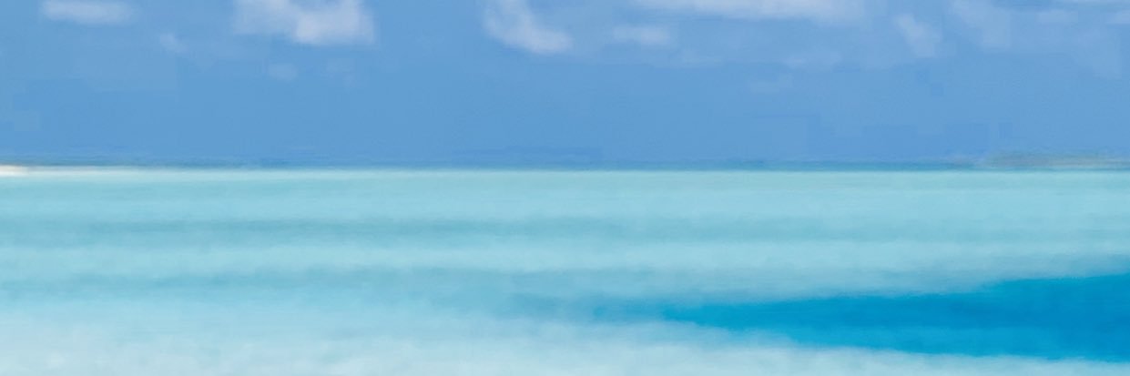 fredneil2's profile banner image