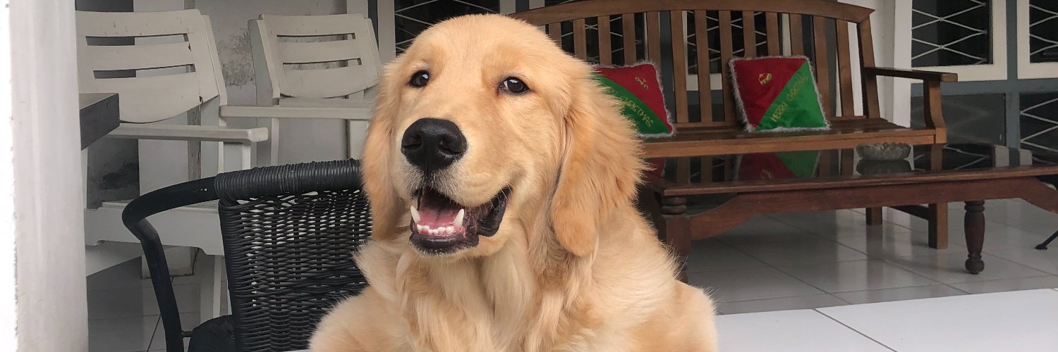 GoforMoocy's profile banner image