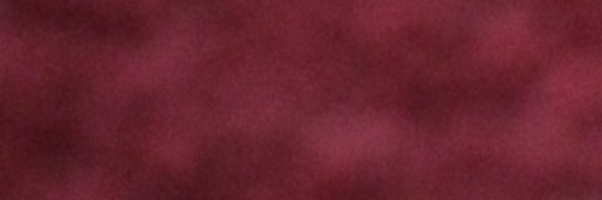 #ffffff banner