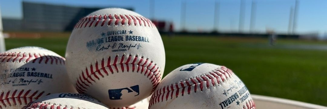 Amy Elizabeth banner