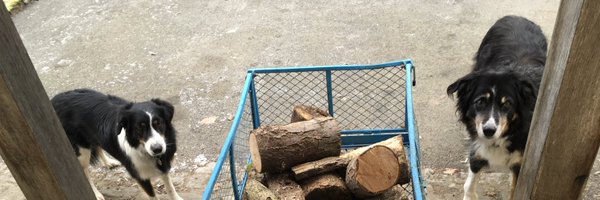 sybilsdad Profile Banner