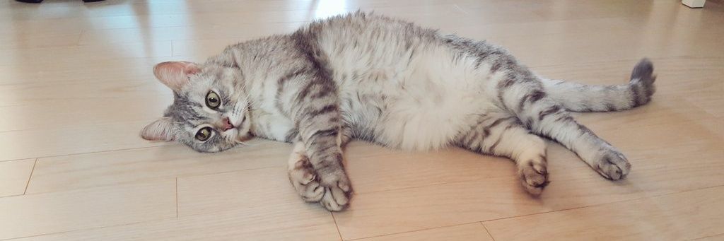 일상다반사 banner