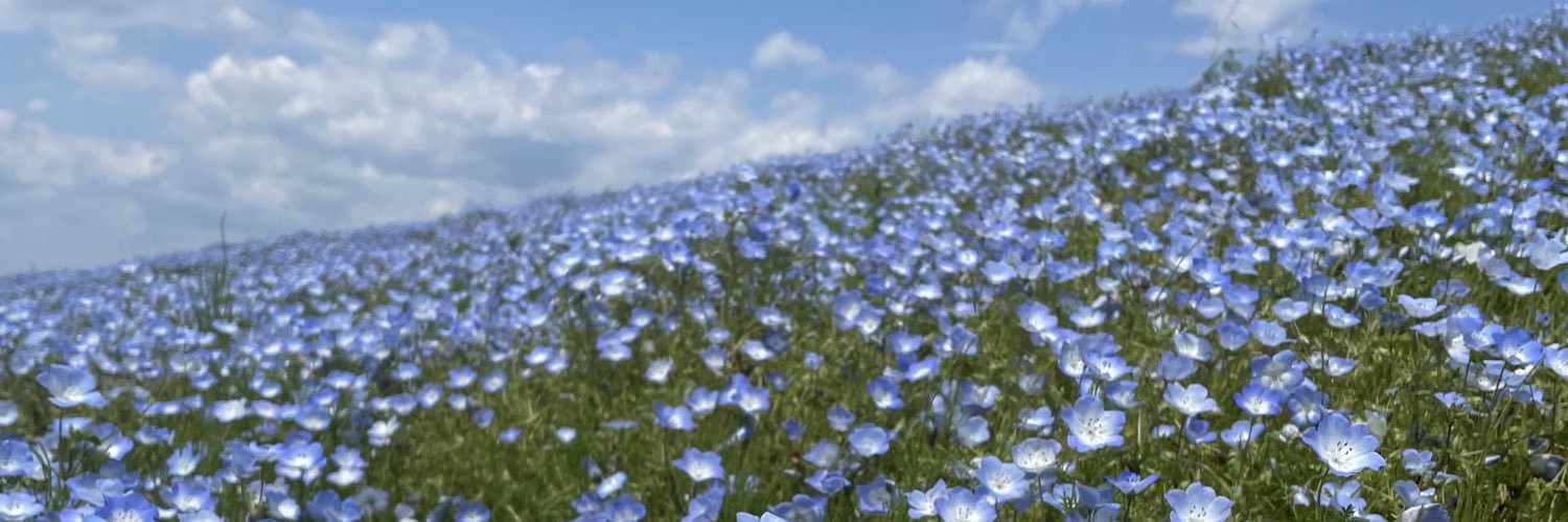 maeshi1129's profile banner image