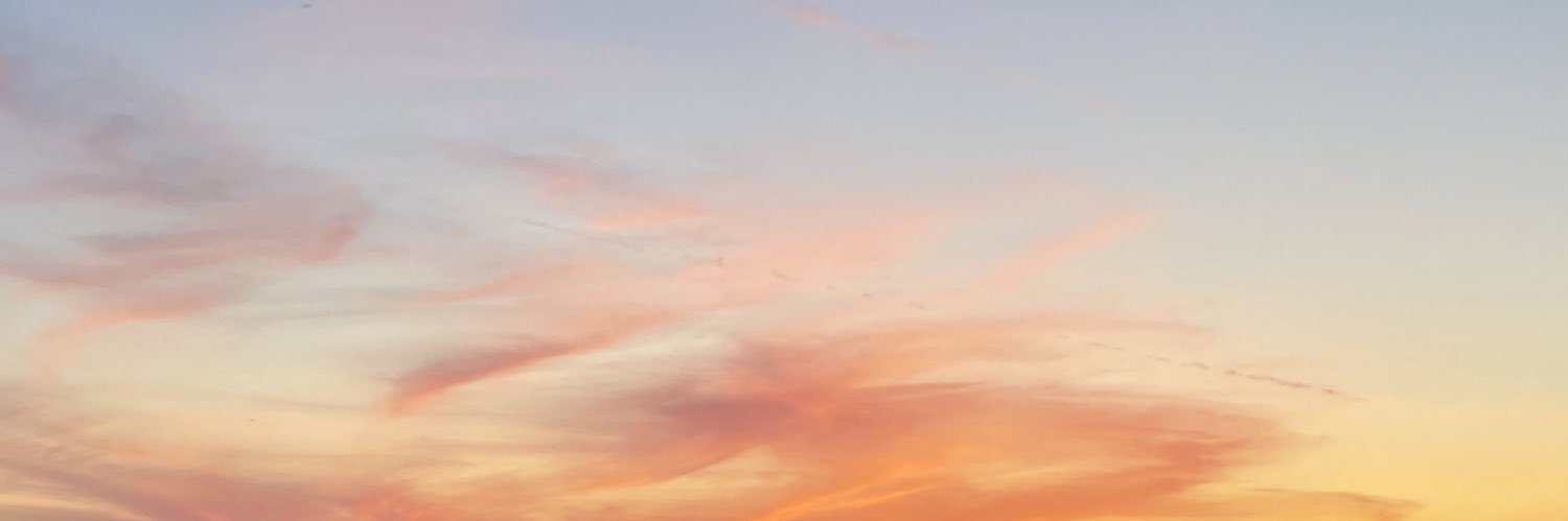 Aline Ruediger banner