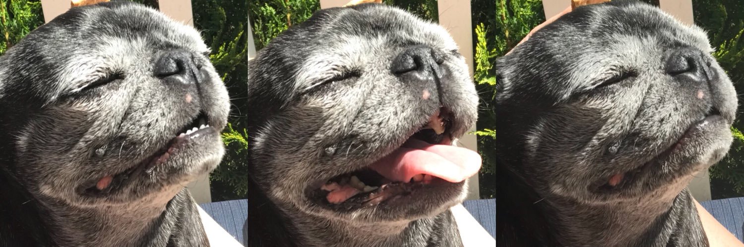 Winston_Sam's profile banner image