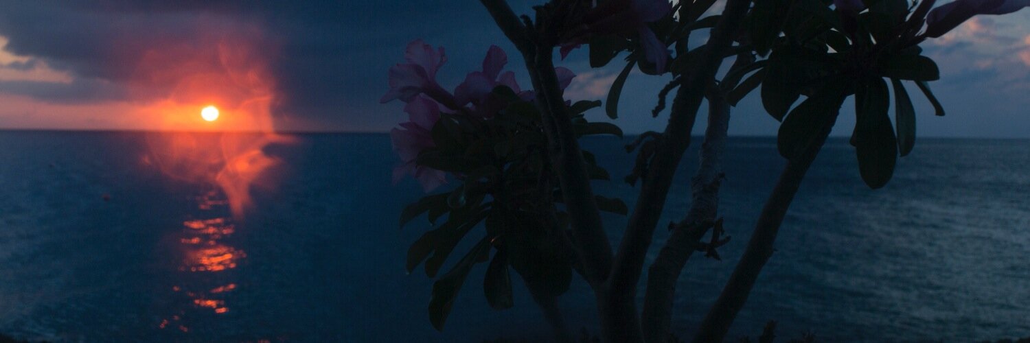 MJRovner's profile banner image
