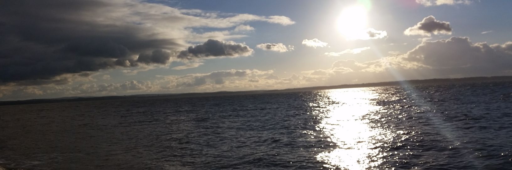 Li33ieBee's profile banner image