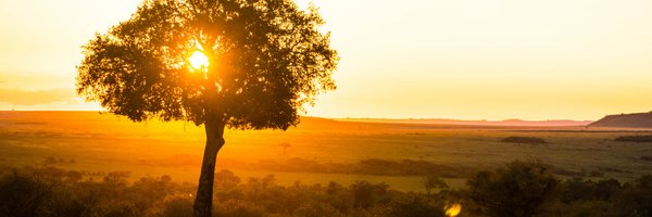 _straussed Profile Banner