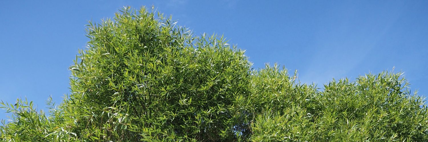 Karjamikko's profile banner image