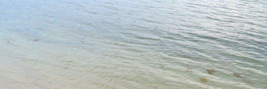 Anna Behrmann banner