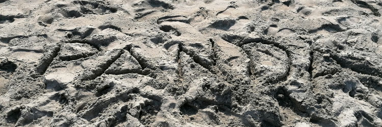 Young_mi21's profile banner image