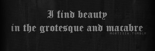 Nyx 🌙 banner