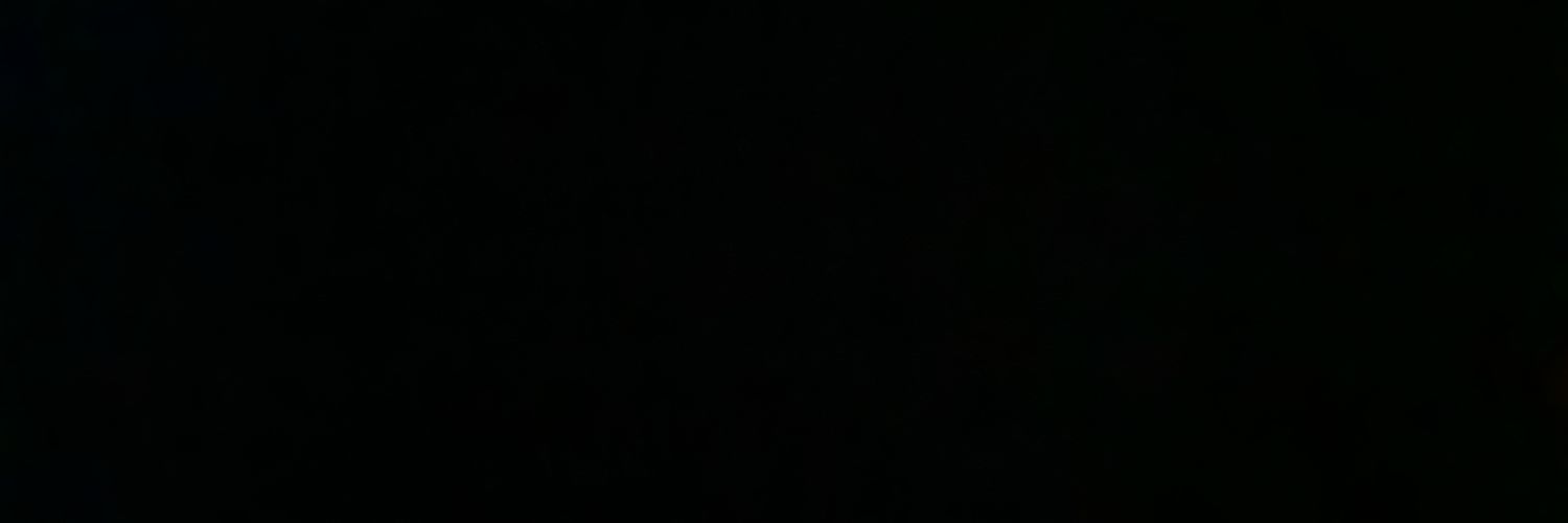lvschifu_'s profile banner image