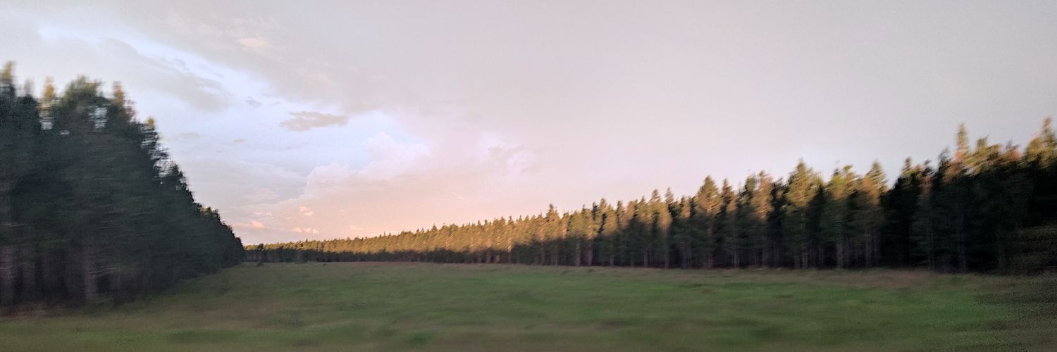 ronierlapaz's profile banner image
