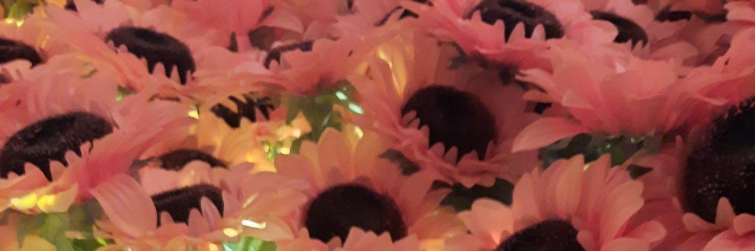 JennyAMcIntyre's profile banner image