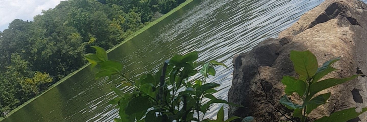 tookiebf's profile banner image