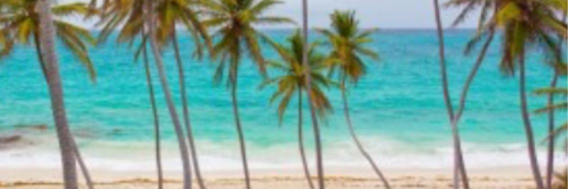 LLCFileOnline's profile banner image