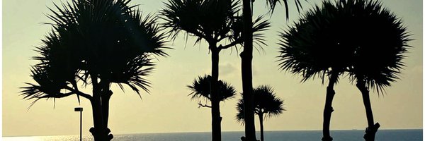 bikkle23 Profile Banner