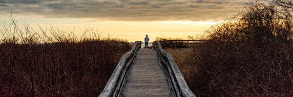 MetaCognetic Profile Banner