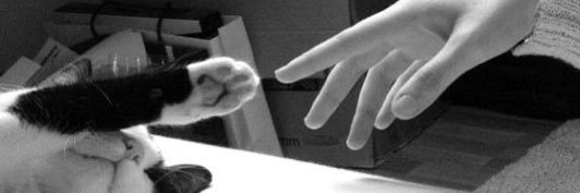 anoudii_b's profile banner image