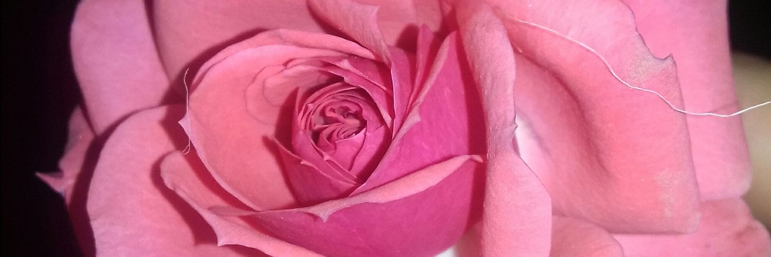 Belenvilla1517's profile banner image