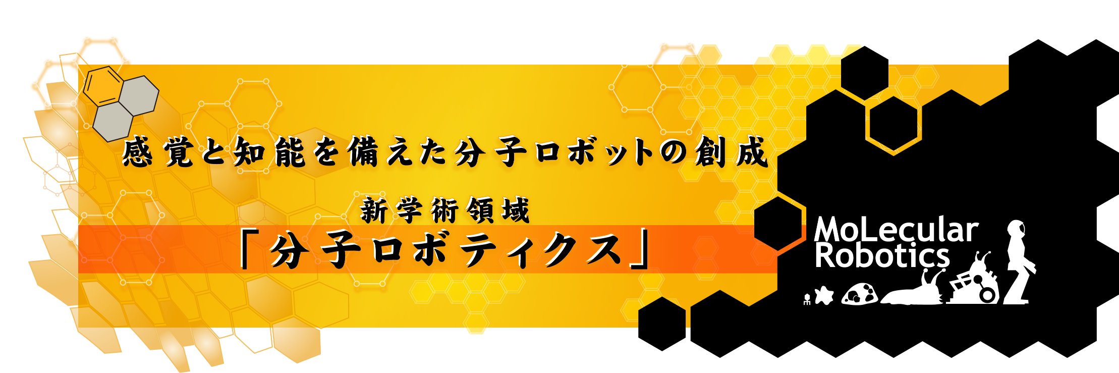 molbotjp's profile banner image