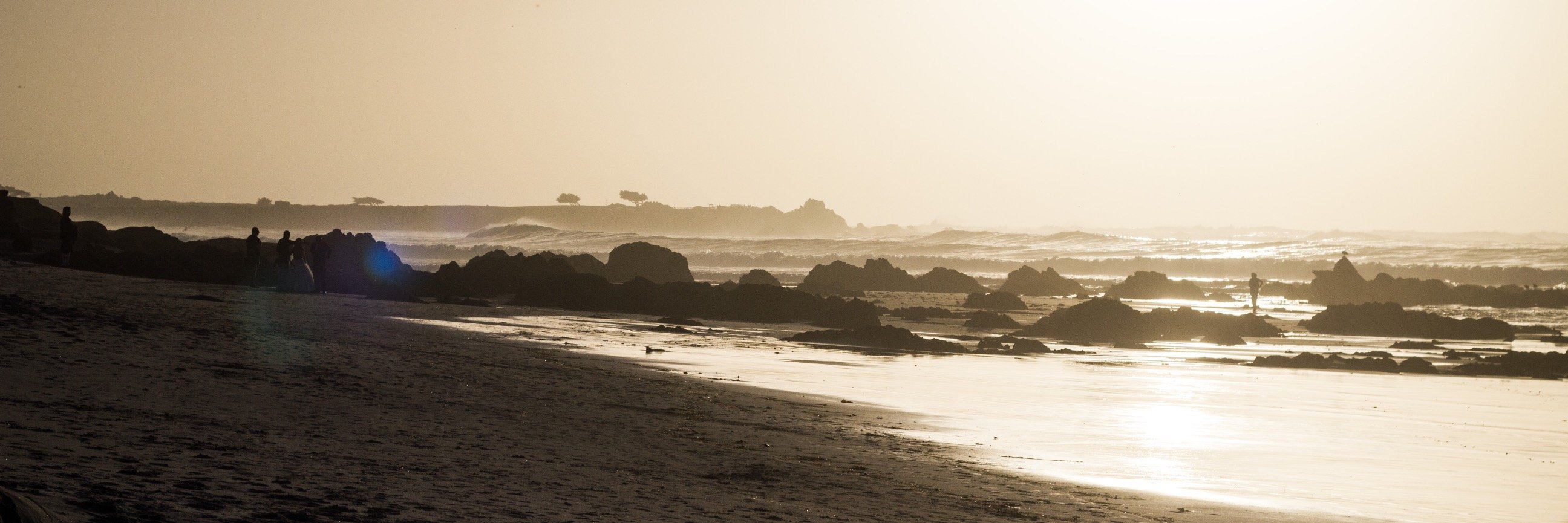 scott andreas banner