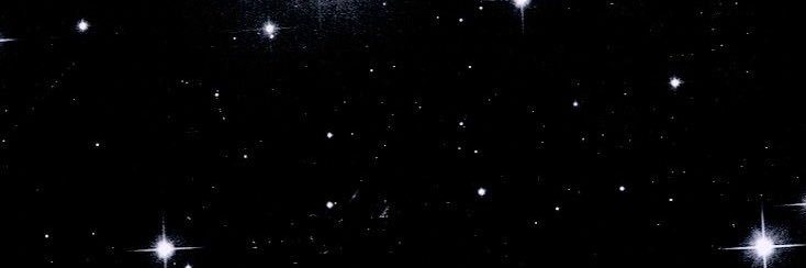 ashlyn banner