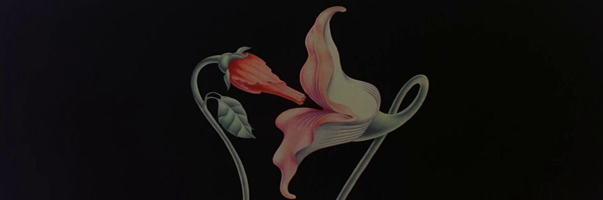 rcktsk8s's profile banner image