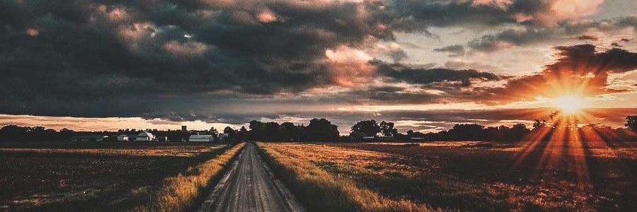 Mili_Calvi's profile banner image