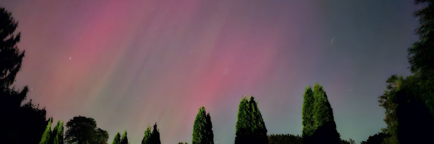 NiagaraNorthDog's profile banner image