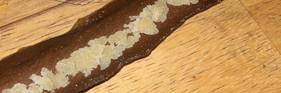 lildrillshit's profile banner image