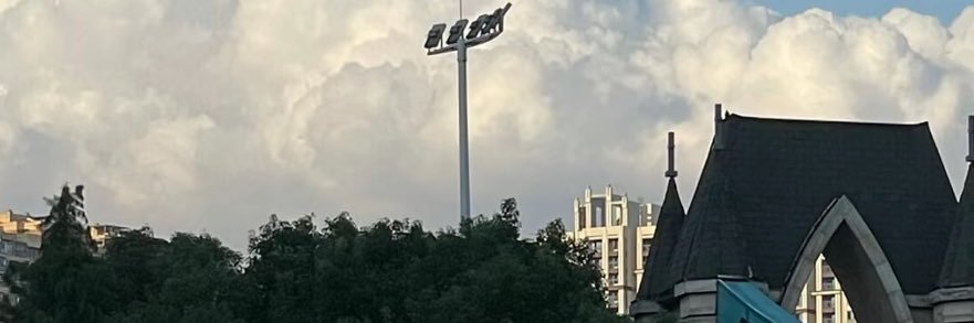 InThisTangledle's profile banner image