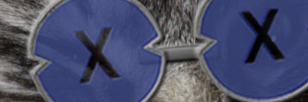 NintaFire Profile Banner
